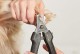 用人的指甲刀给猫咪修剪指甲的正确方法（让宠物更舒适，避免受伤的5个技巧）