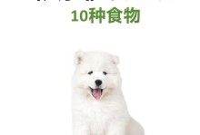 狗狗的孩子还吃什么？（探索狗狗宝宝的饮食需求与适宜食品）
