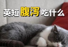 如何处理幼猫拉稀问题（针对幼猫拉稀的饮食调整方法及注意事项）