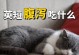 如何处理幼猫拉稀问题（针对幼猫拉稀的饮食调整方法及注意事项）