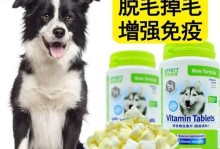 狗狗缺维生素B的症状与治疗（宠物健康需关注，缺乏维生素B易发生这些症状）