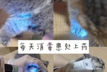以猫藓为主要成分的消毒剂的研究与应用（猫藓的消毒能力及其在不同领域中的应用前景）
