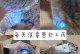 以猫藓为主要成分的消毒剂的研究与应用（猫藓的消毒能力及其在不同领域中的应用前景）