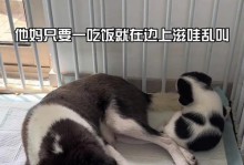 刚出生的小狗多久吃奶？（小狗吃奶时间的变化和需注意的事项）