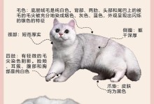 颜值无敌！盘点最美猫咪，你中意哪一只？（探寻10种公认颜值最高的猫咪，美貌与可爱并存）