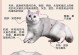 颜值无敌！盘点最美猫咪，你中意哪一只？（探寻10种公认颜值最高的猫咪，美貌与可爱并存）