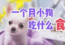 以满月小狗能吃什么？（了解满月小狗的饮食需求）