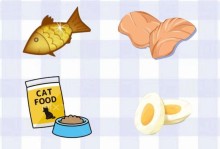 宠物奶猫咪的最佳饮食选择（了解奶猫咪的饮食需求，给它们提供最好的食物）