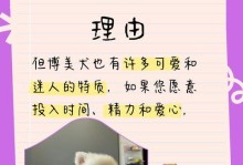 揭秘博美不喜欢主人的原因（探究为何博美对主人产生反感）
