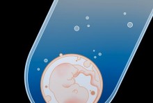 母狗怀孕多久可以打胎？（了解狗狗怀孕周期，合理决定打胎时机）