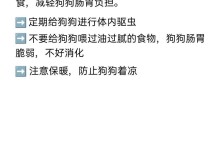 了解狗狗呕吐的原因及喂食量（让狗狗8分饱，健康无忧）