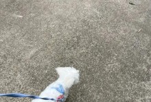 了解不同尿尿地方的特点，帮助你更好地照顾宠物（了解不同尿尿地方的特点，帮助你更好地照顾宠物）