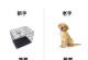 新手买狗注意事项（如何为新买狗的新手提供最佳关怀和准备）