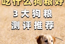拉布拉多吃完狗粮后多久拉屎？（探究拉布拉多食后排便的时间间隔）