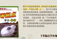 兔子的成年标准及水的需求（兔子何时算成年？兔子是否需要喂水？）