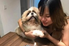 宠物狗离世前的预兆（探寻家中宠物狗离世的迹象及应对之策）