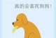 狗狗为什么吃完就吐？（探究狗狗呕吐的原因及解决方法）
