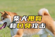 为什么狗会以臀部发出声音？（探究狗以臀部叫的原因及其意义）