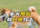 为什么狗会以臀部发出声音？（探究狗以臀部叫的原因及其意义）