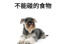 小狗的饮食需求（了解小狗的饮食喜好和适宜食物，让它健康成长）