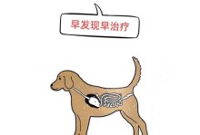 了解狗狗肠胃炎大便问题的重要性（如何识别和处理狗狗肠胃炎引起的大便异常）