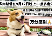 陨石柯基（揭秘陨石柯基市场，探寻稀有珍品的价格变动趋势）