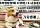 陨石柯基（揭秘陨石柯基市场，探寻稀有珍品的价格变动趋势）
