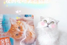 适合学生党的高性价比猫咪品种（快来看看这四种猫咪中有没有你喜欢的！）