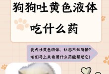 狗狗肺炎用药指南（从预防到治疗，了解狗狗肺炎所需的药物及关键注意事项）