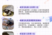 陆龟养护（养护陆龟时间长短的关键与方法）