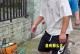 桃脸阿拉（探索桃脸阿拉的多彩世界）