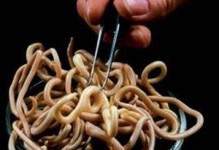 泰迪狗肚子里有虫子的症状及治疗方法（了解泰迪狗肚子里虫子的症状，保护宠物健康）