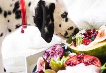 狗狗夏天应该吃哪些水果？（为你的爱犬提供清凉的夏日水果选择）