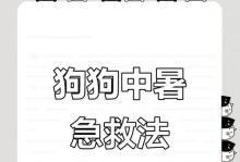 狗狗中暑后的康复时间及注意事项（了解狗狗中暑的康复时间以及如何帮助它们恢复健康）