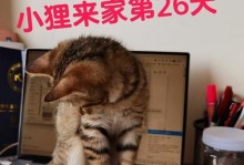 狗狗掉牙了怎么办？（一种简单有效的方法帮助狗狗处理掉牙问题）