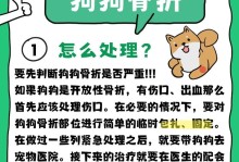 如何帮助狗狗清理手术伤口，加速恢复（6个小贴士助你关爱宠物伤口）