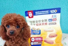 贵宾犬的健康饮食（了解贵宾犬的饮食需求，探索适合它们的水果选择。）