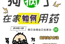 狗吃完药后多久可以进食？（探究狗吃完药后的饮食恢复时间及注意事项）