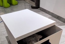 小猫为什么不回窝里睡觉（探究小猫睡觉行为的原因与解决方法）