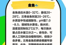 养观赏鱼三五天喂一次的适宜性探讨（观赏鱼喂养频率与健康关系的实证研究）
