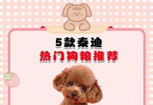 泰迪怀孕50天吃什么好？（一份详细的饮食指南帮助泰迪宝宝健康成长）