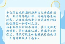 急救猫受伤破皮的三步骤（保护、清洁、处理）