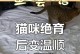 公猫绝育后适宜吃饭时间（了解公猫绝育后的饮食需求）