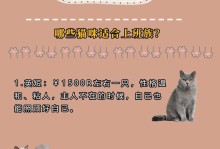 养宠物，让上班族的生活更有趣（选择合适的小宠物，给你带来无尽的快乐）