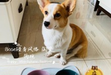 狗狗为什么抓狗碗？（探索狗狗抓碗的原因及解决方法）