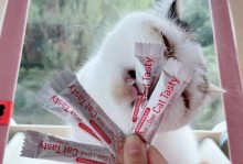 如何应对两个月大猫咪的感冒（预防和治疗猫咪感冒的有效方法）