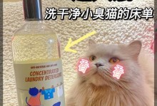 选择适合居家养的宠物的重要性（如何选择适合居家养的宠物，让您和它们都能享受美好时光）