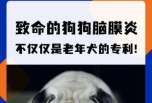 致命的威胁（探索狗狗生命的脆弱性与保护之道）