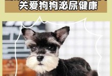 狗狗睡觉漏尿的原因（了解为什么狗狗会在睡觉时漏尿）