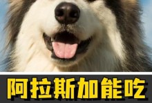 阿拉斯加幼犬的健康饮食之道（除了狗粮，还有什么可以给阿拉斯加幼犬提供营养？）